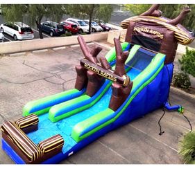 Water slide