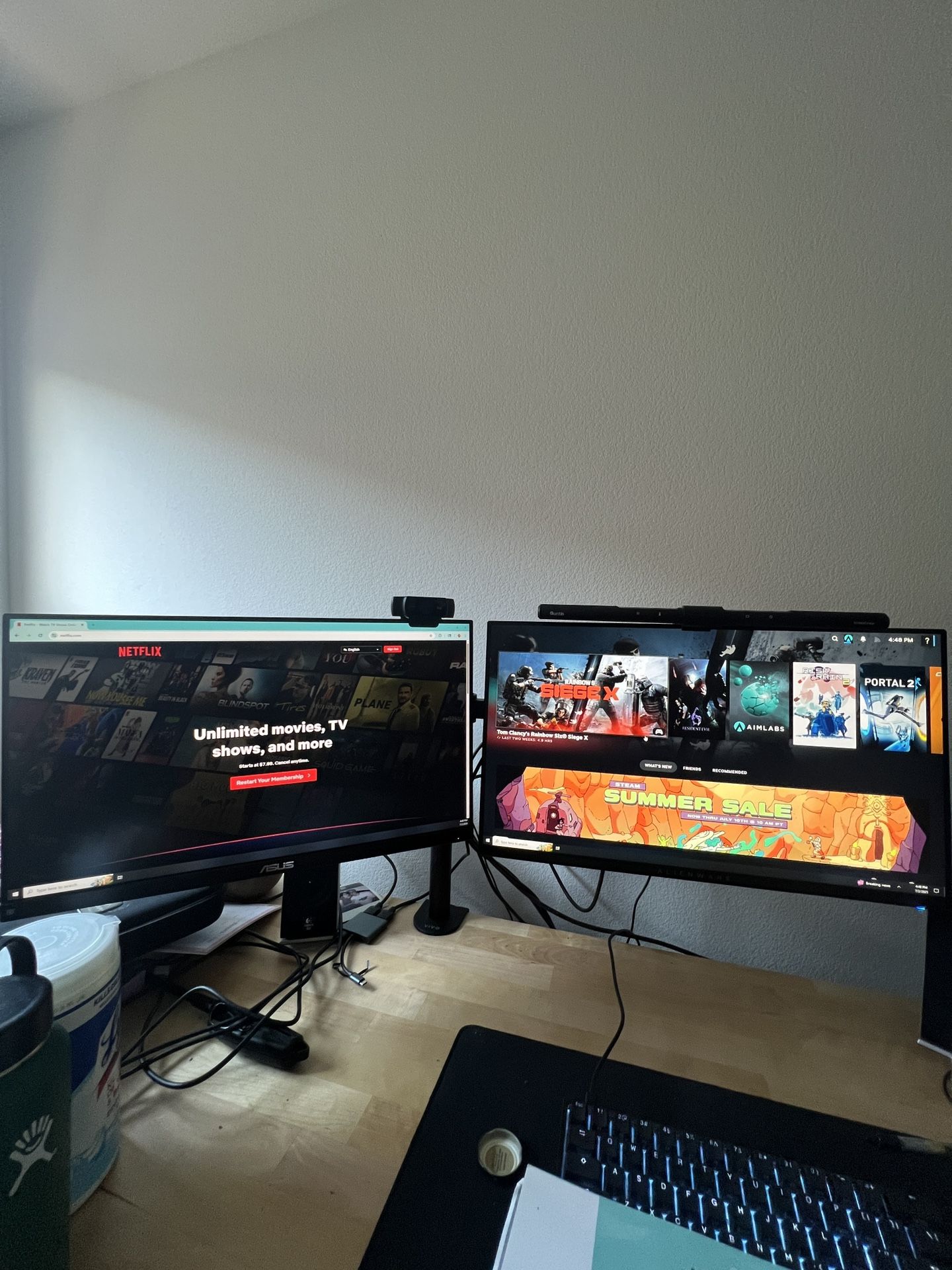 Dual Gaming Monitors 
