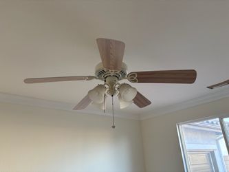 Ceiling fan