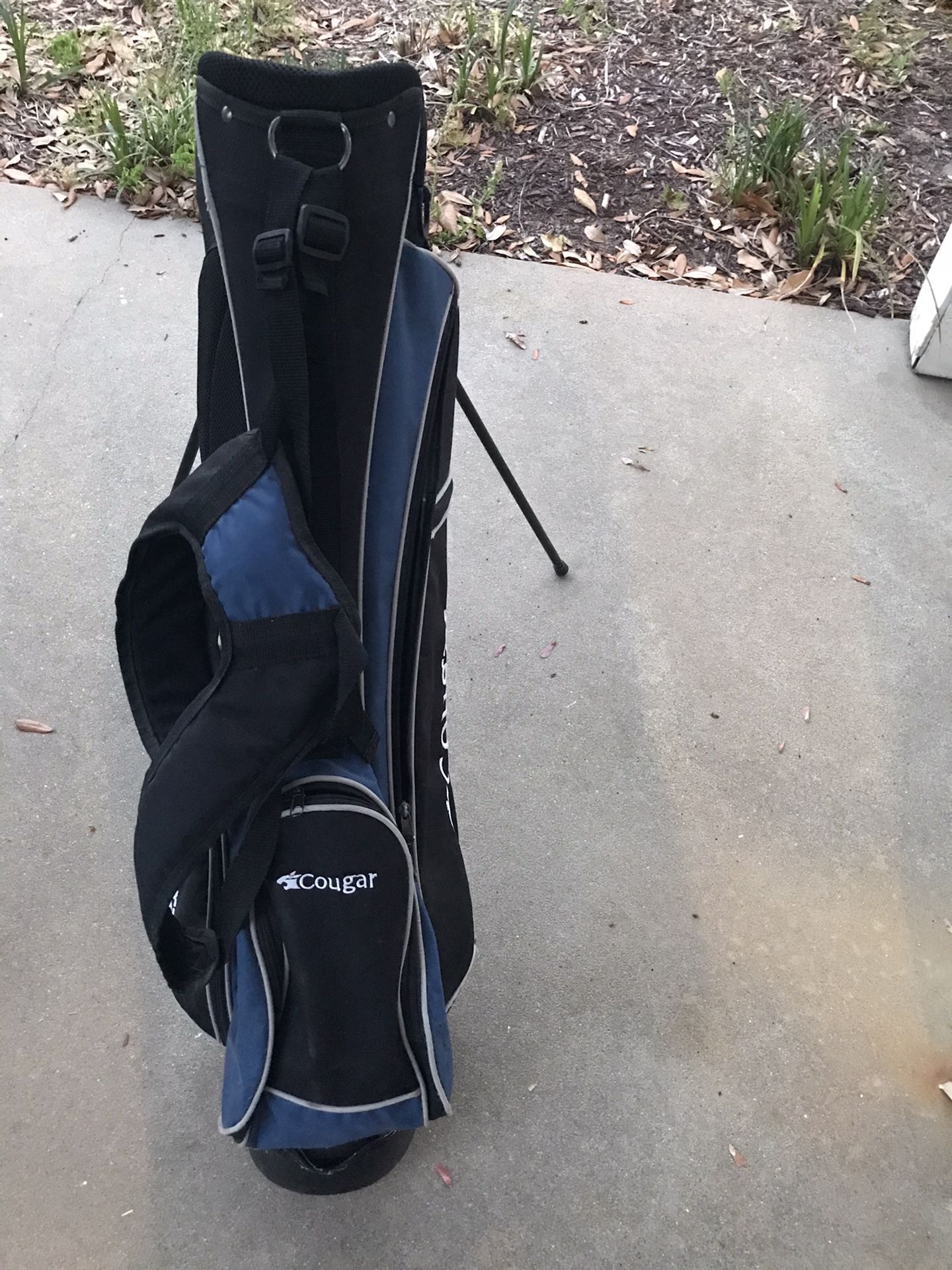 Golf Bag Like New
