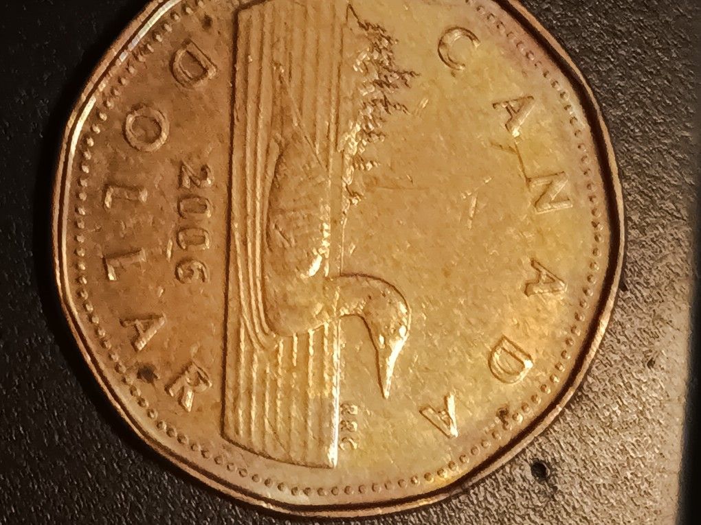 Too rare, one rarer than the other Canadian dollar coins.Misprints , the later model I will accept two seventy 52 earlier model fifty