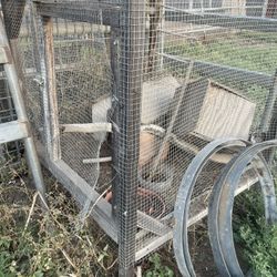 Bird Hutch 