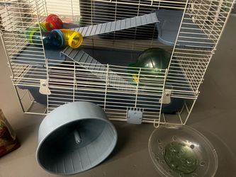 Hamster cage/food/treats/toys