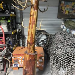 Log Coat Tree With Antlers 