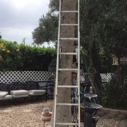 Ladder 