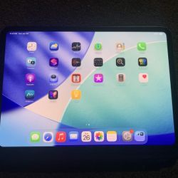 iPad Pro M4 11 Inch
