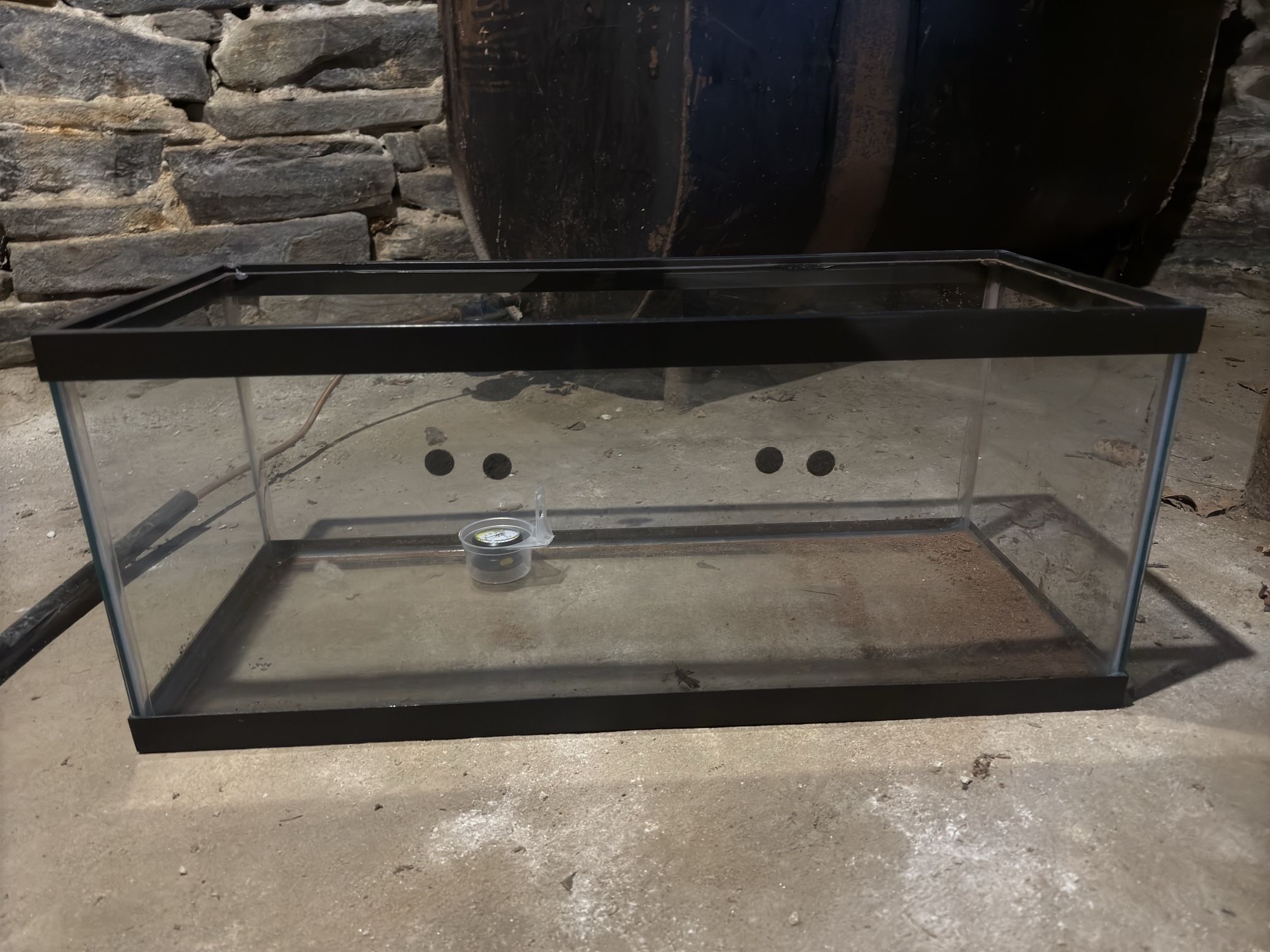 40 Gallon Tank