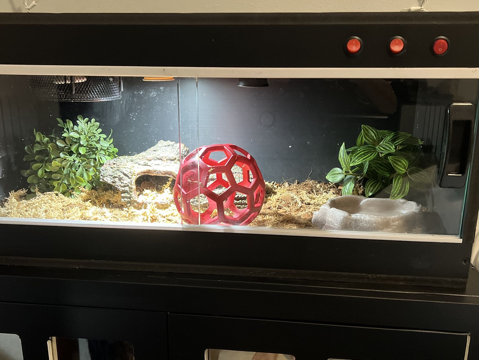 20gal Reptile Enclosure