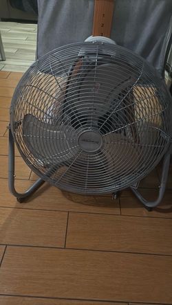 Fan