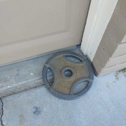 25 Pound Weight 