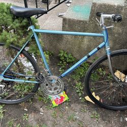 Schwinn 10 Speed Mountain Bike