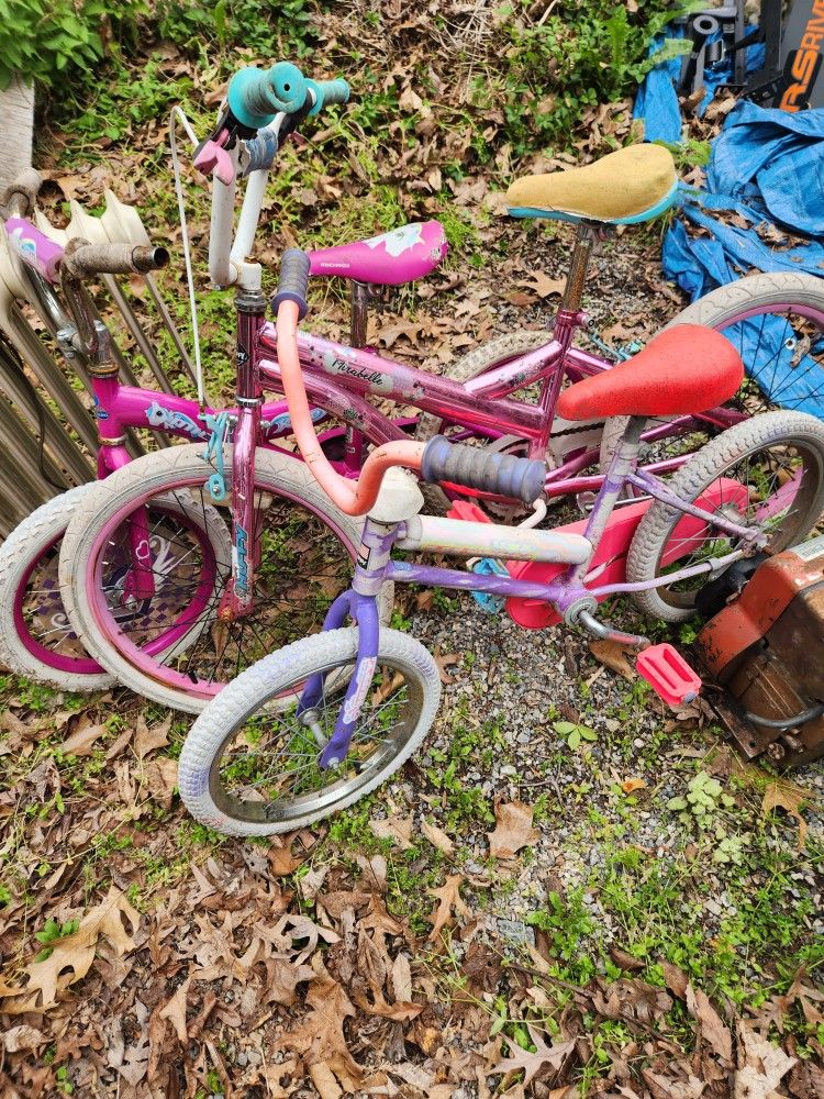 3 Girls Bikes All Different Sizes