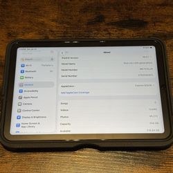 iPad mini 6 (256GB) Wi-Fi + Cellular – AppleCare+ – Excellent Condition