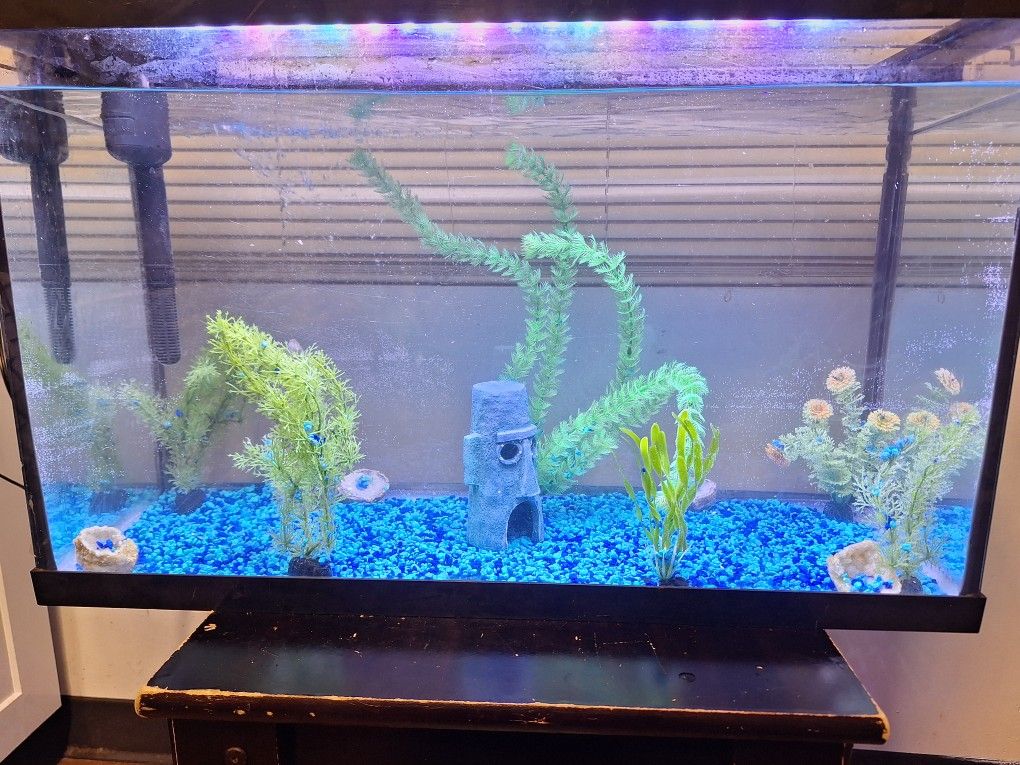 Fish Tank
