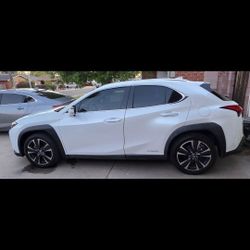 2021 Lexus 250 UXH