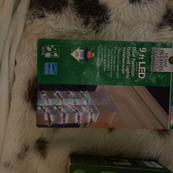 Brand new Christmas lights