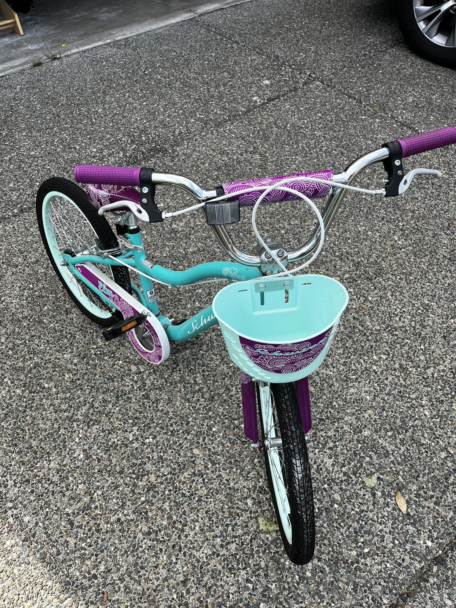 20” Schwinn Girl Bike