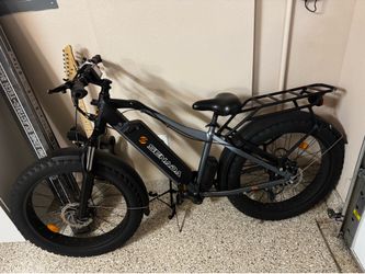E bike