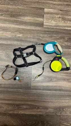 Dog leash collar harness lot