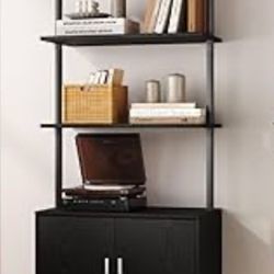 Ladder Shelves 