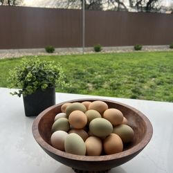 Chicken Eggs