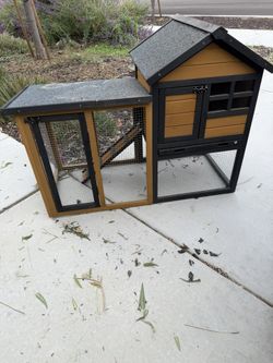 Bunny Hutch