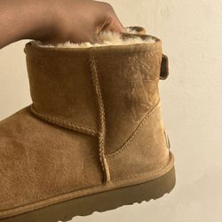 Ugg Boots Mini II Chestnut Brown 