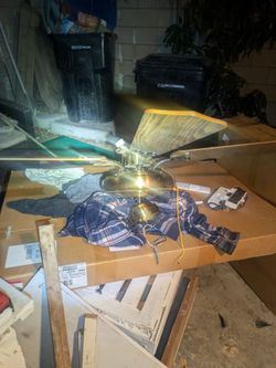 Ceiling fan