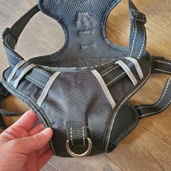 Dog Harness