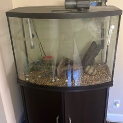 Fish Tank With Automatic Feeder For $60.00