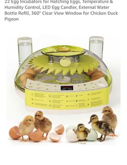 Egg Incubator