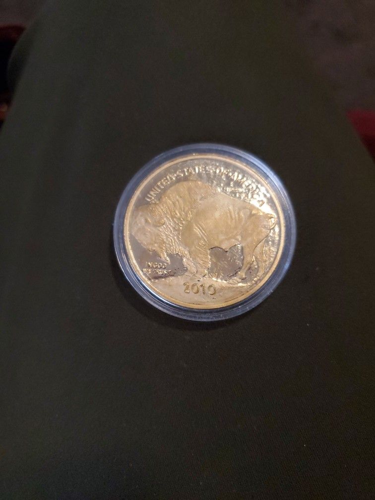 2010 U.S. Bison Indian Head Coin Copy