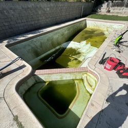 Green To Clean, Weekly Visits