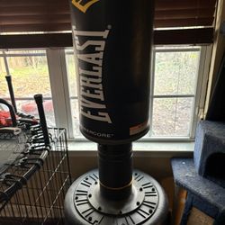 Everlast Punching Bag (base Already Filled With Sand)