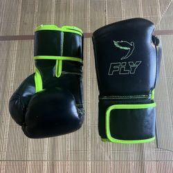 FLY BOXING GLOVES 