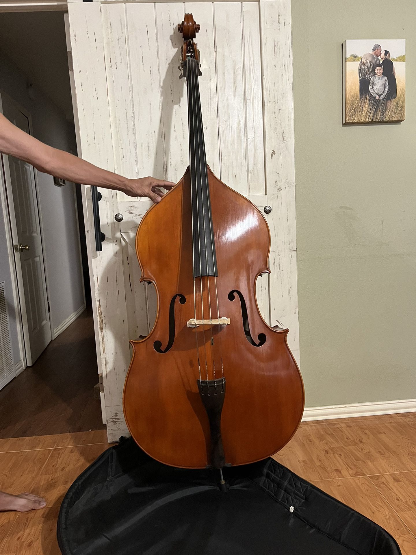 Double Bass Musical Instrument  For Sale