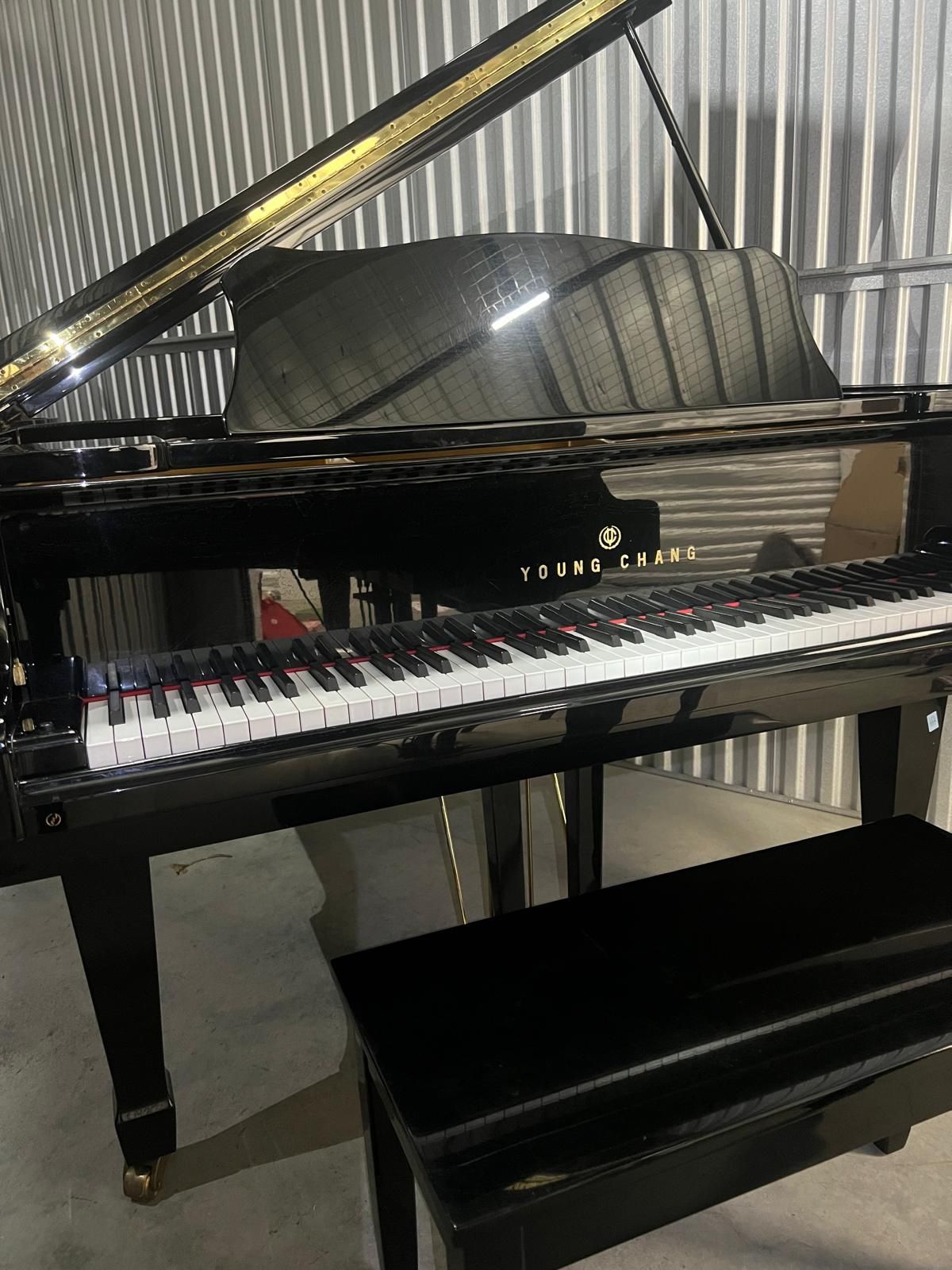 Young Chang Baby Grand Piano – Elegant and Fully Tuned