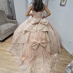 Princesa Quince dress By Ariana Vara 