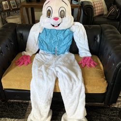EASTER BUNNY COSTUME FOR PARTIES AND ENTERTAINMENT  ADULT SIZE. $40