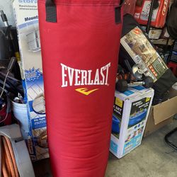 Everlast 70Lbs. Heavy Punching Bag