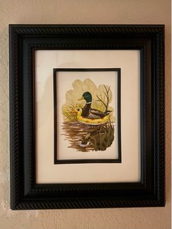 Duck In Training by Steven Rhodes Print Whimsical Mallard Duck in Floaty