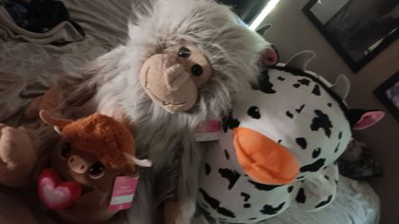 Stuffed animals