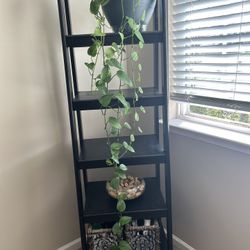 Ladder Shelf 