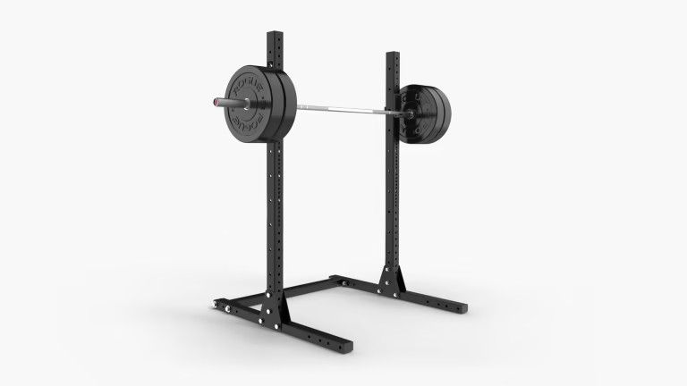 Rogue Fitness Bench Press/Squat Rack System