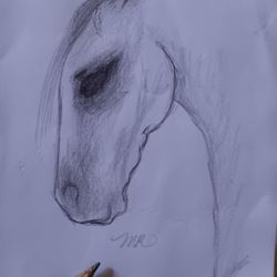 SMALL HORSE SKETCH HAND DRAWN ON PAPER UNFRAMED ORLANDO AREA 