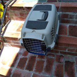 Pet Taxi
