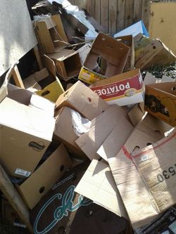 Free cardboard free free