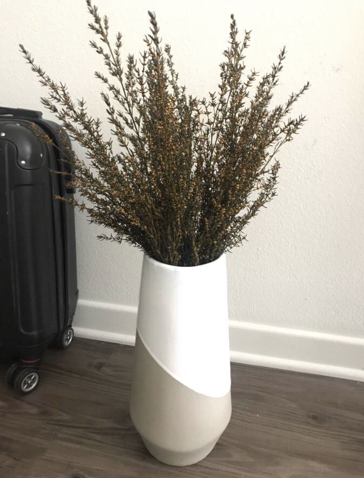 West elm vase +dry flower