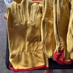 Gloves
