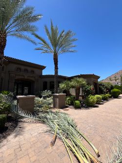 Palm trim